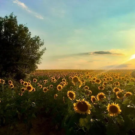 Prázdninový dům Chez Georges - Maison 2 - Les Du Verdon