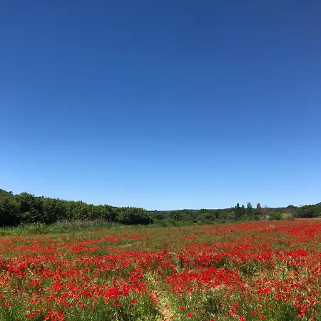 Holiday home Chez Georges - Maison 2 - Les Du Verdon Esparron-de-Verdon
